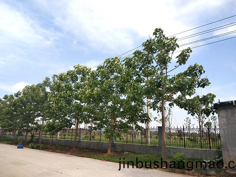 濟(ji)寧(ning)市大氣環境質量2015年(nian)12月份13縣市區排名