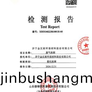 檢測報告（2024.12.31）