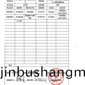 檢測報告（2024.12.31）