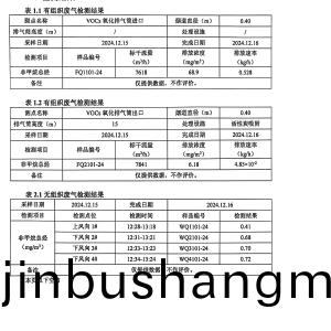 檢測報告（2024.12.31）