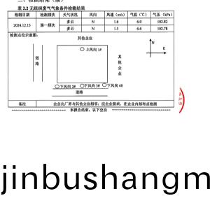 檢測報告（2024.12.31）